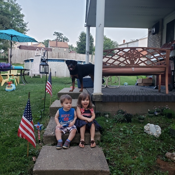 Meet your Posher, Amy - Picture 4 of 5